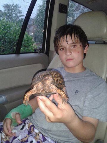 Este día ayudé a una tortuga.