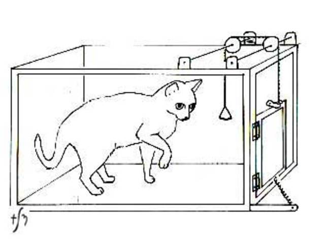 Funcionalismo: Thorndike propone el aprendizaje por ensayo y error