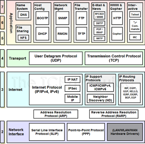 TCP/IP Protocols