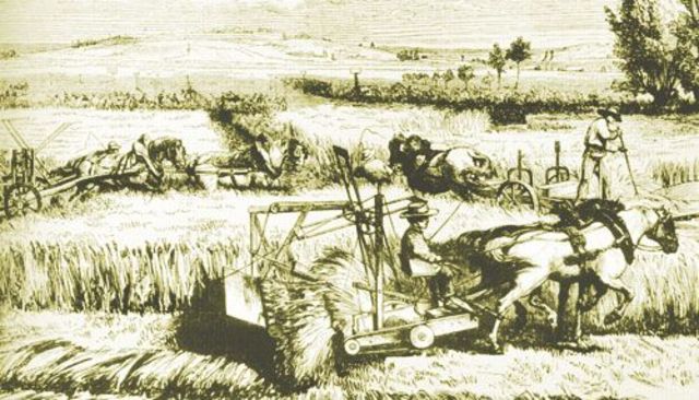 1.1 La Sociedad Agraria