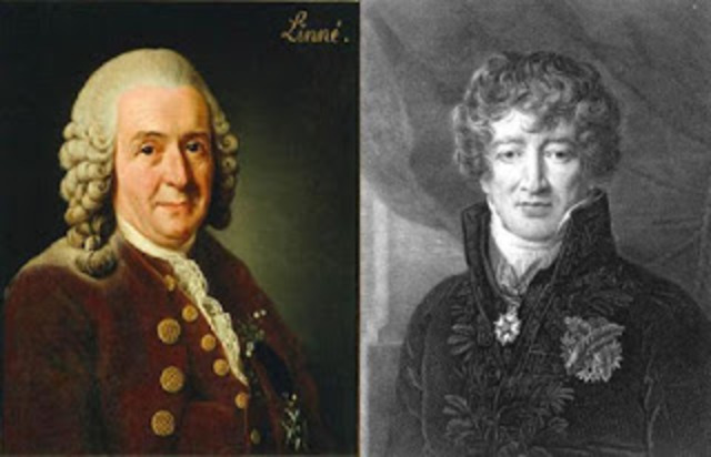 Teorias de Cuvier y Lamarck