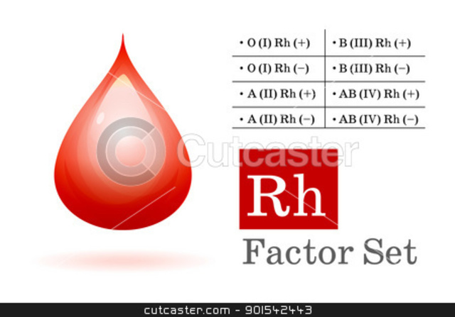 Karl Landsteiner discovered the Rh protein
