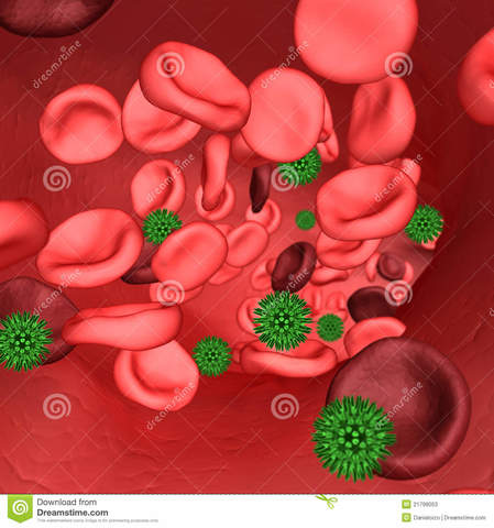 Robert Gallo identified the virus causing AIDS