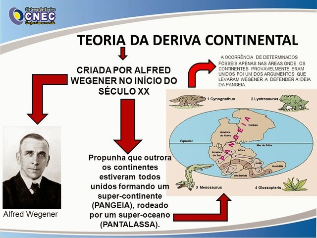 Efecto de la deriva continental sobre la biodiversidad