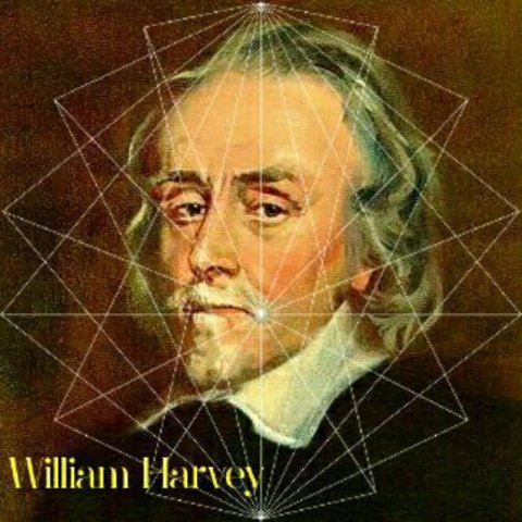 William Harvey (1578-1657): Estudió medicina en Cambridge.