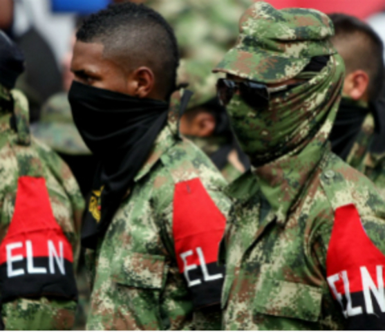 creación del ELN