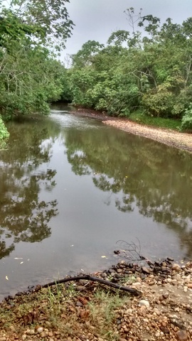 Análisis de la calidad del agua