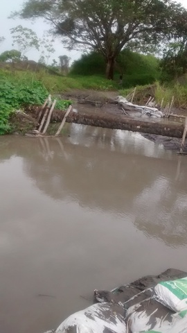Visita técnica  a Manuelita Aceites y Energía