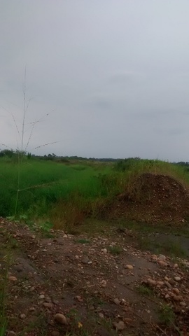 Evaluación de impactos