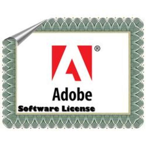 Pilotage: Affaire des licences