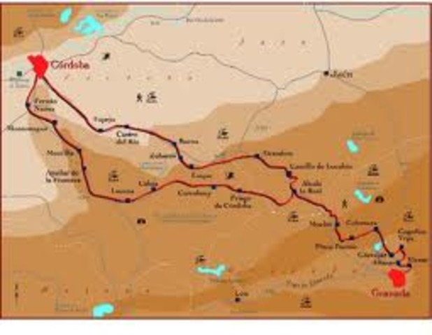 Caphilate emerges as an institution