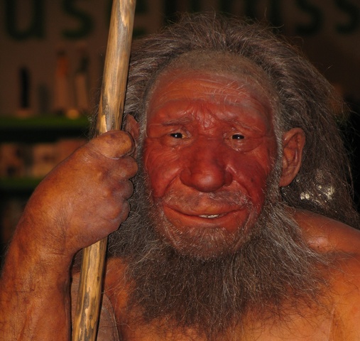 Disparition des Néandertaliens