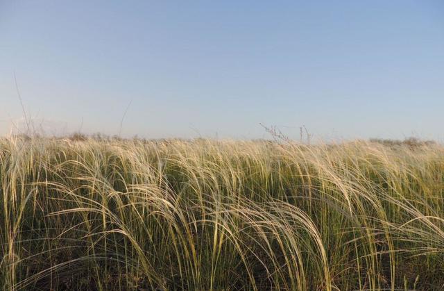 Основание станицы Екатерининской