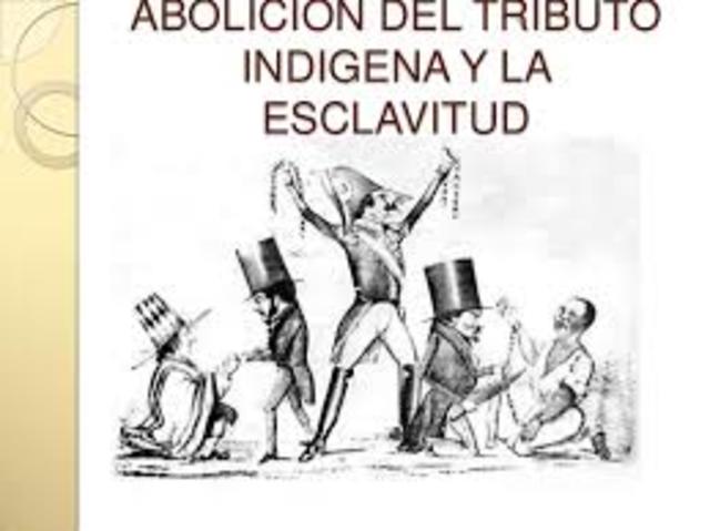 La abolicion del tributo indigena
