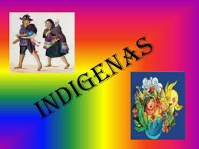 Indigenismo academico