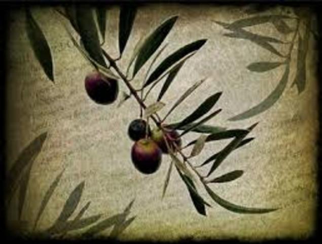 Olive Branch Petition