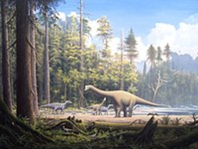 Jurassic Period- 199.6 - 145.5 MYA