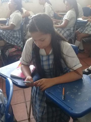 Quinto día de encuestas