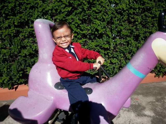 Cuando entre al jardín