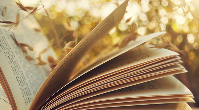 "Las Elecciones de la Gente" por: grupo Columbia