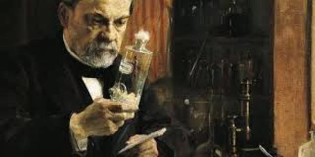 Vacuna contra la rabia