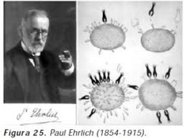 Teoría de la inmunidad de cadena lateral de Paul Ehrlich