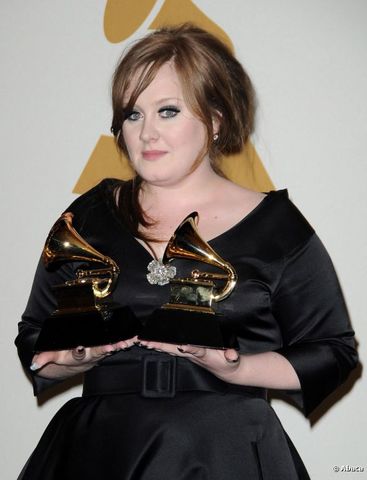 La 51.ª entrega de los Premios Grammy