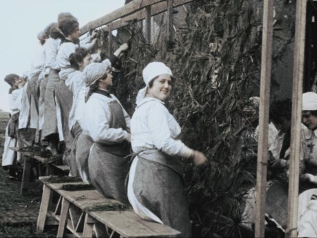 LA ERA PRIMITIVA DE LAS REDES SOCIALES . Uso del Internet