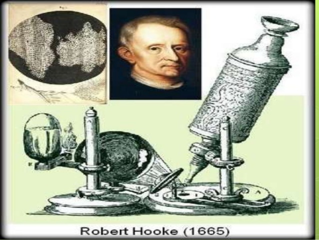 Robert Hooke  tejidos  vegetales