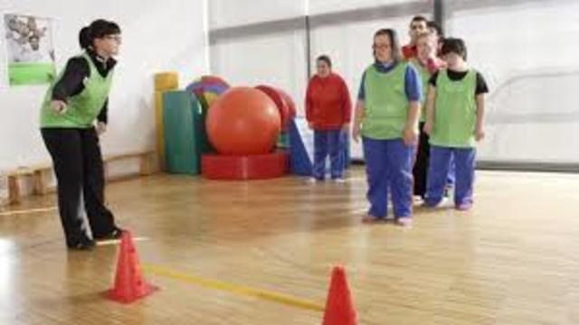 Aportes de Asociaciones para la Discpacidad Intelectual