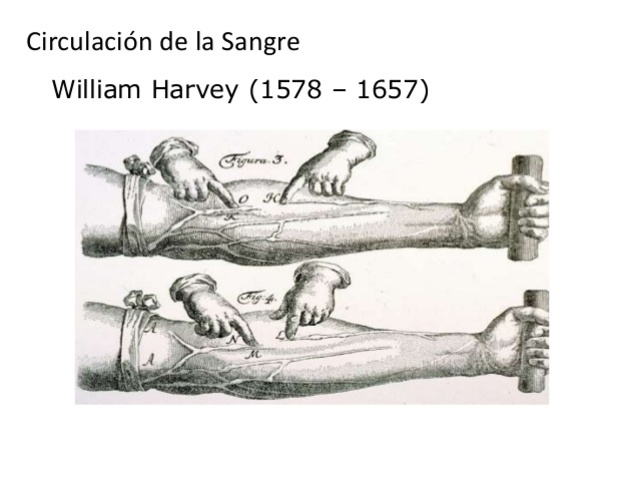 WILLIAM HARVEY