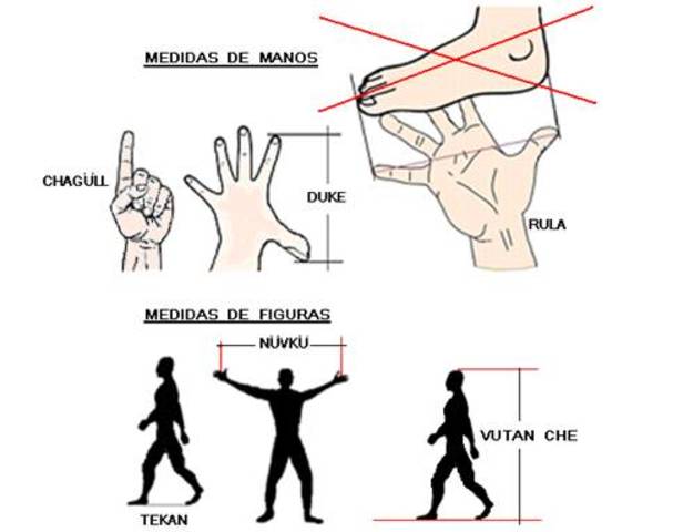 comienzo de utilización de unidades