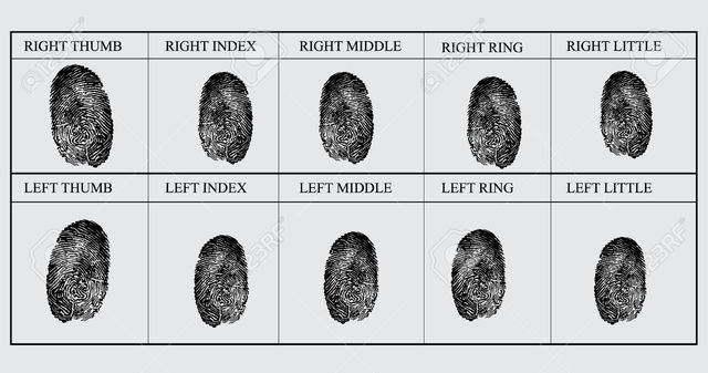 Primer archivo de huellas dactilares