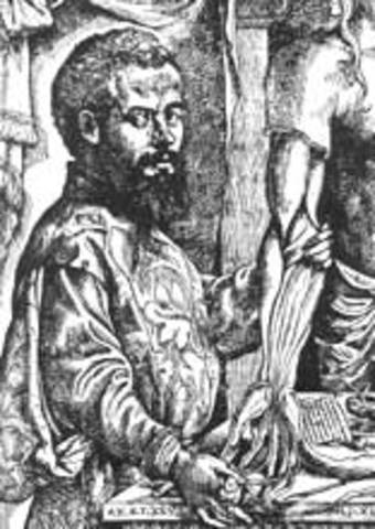 El Prólogo de Vesalio