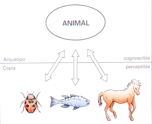 Teoría de las Ideas de Platón