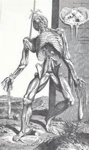 Los cientificos de la revolucion cientifica: Andres Versalio.