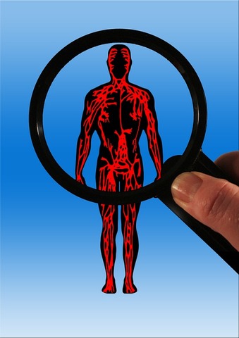 Gran contribución del guapo William Harvey al método científico