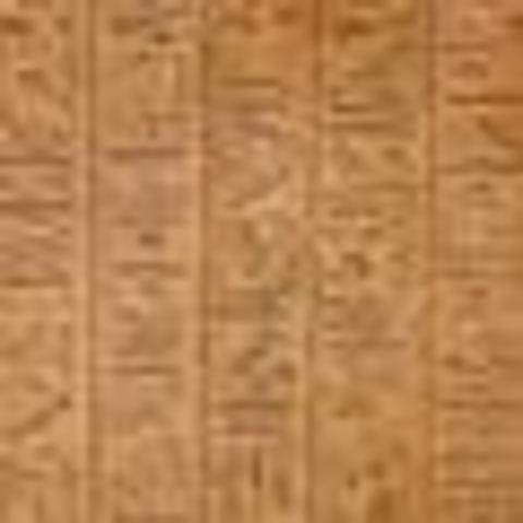 La escritura pictografica