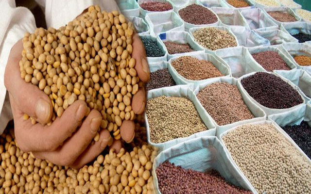 Libre comercio de granos