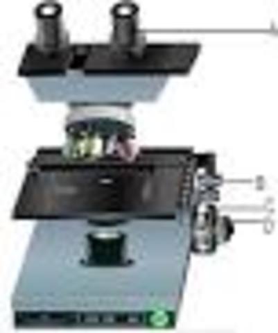 Primer microscopio virtual