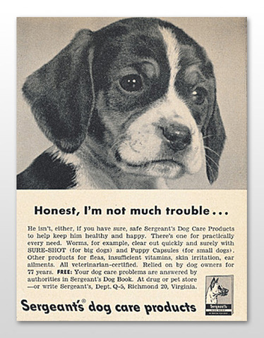 Grandpa Cicco get His First Pet