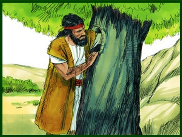 Nascimento de João Batista