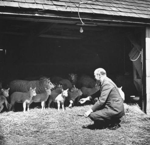 Grandma Defloria Got her First Pet