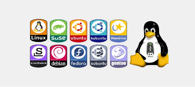 LLega Linux.