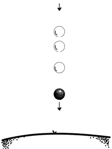 The Study of Objects in Motion