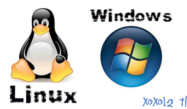 anuncian una nueva  actualización