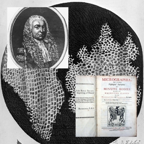 Robert Hooke.