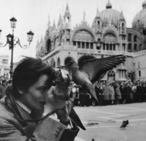 Expositio Urganis Semensis