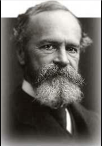 Charles Peirce (1839-1914): Peirce nació en Cambridge, Massachusetts, hijo del  profesor "Perkins" de matemáticas y astronomía de la Universidad de Harvard.
