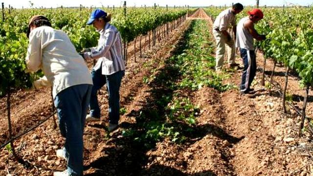 Producción en el campo